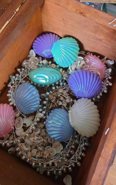 Schimmernde Muscheln als Schatz für die Meerprinzessinnen