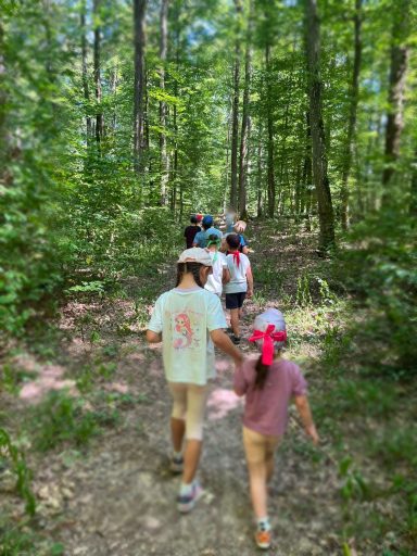 Kinder unterwegs auf der Schatzsuche durch den Wald, von hinten fotografiert